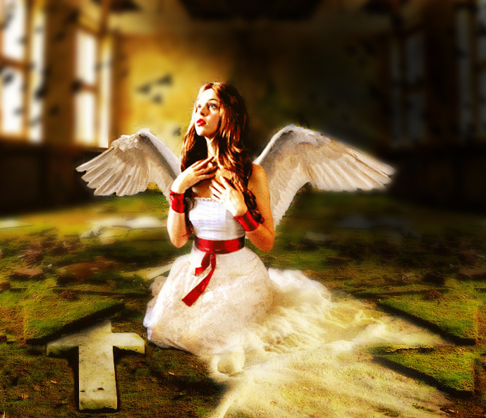 fallen angel photography