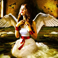 Beautiful Fallen Angel