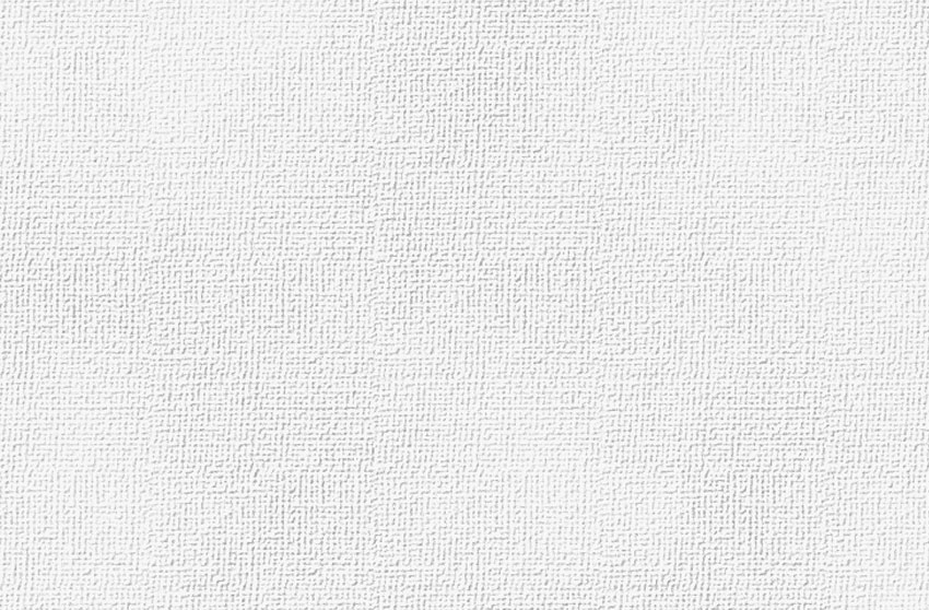 white paint canvas texture