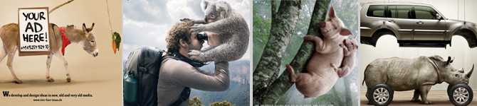 70 most creative advertisements featuring animals