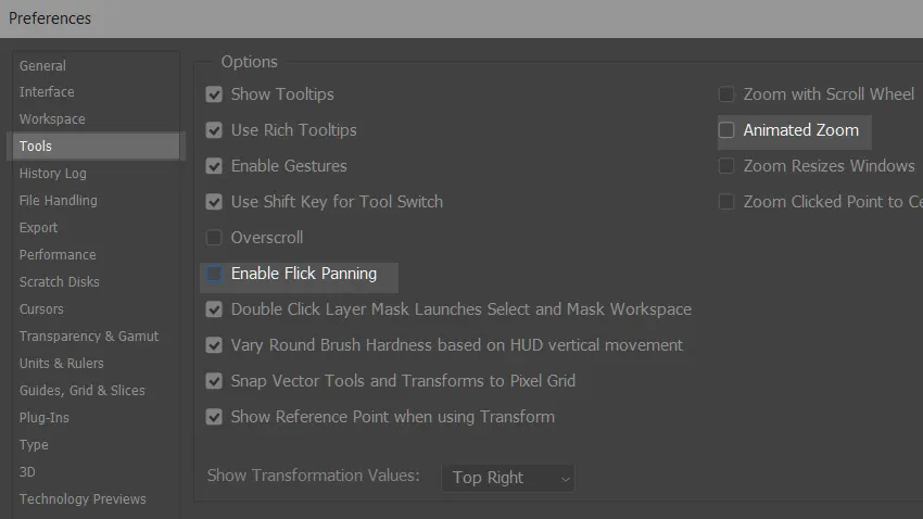 Photoshop Animated Zoom and Flick Panning Settings