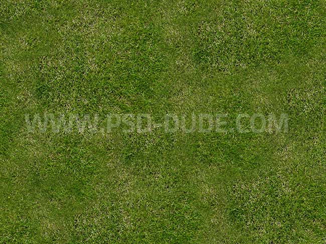 grass background in photoshop