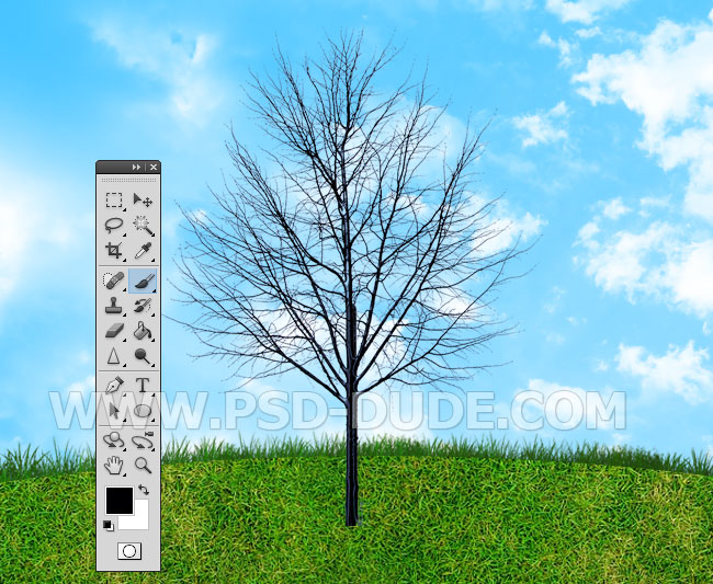 Create a Green Earth Tree Environment Background in Photoshop Photoshop  Tutorial | PSDDude