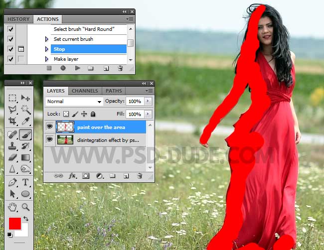 duplicate photos cleaner for abobe photoshop elements