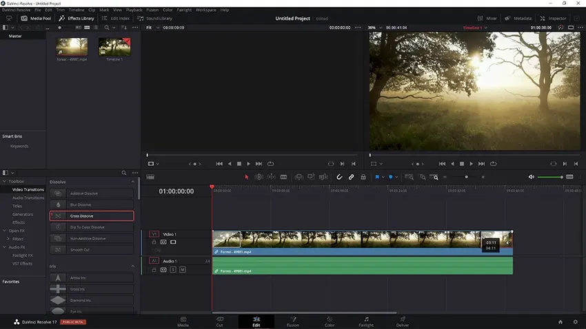 DaVinci Resolve Fade to Black