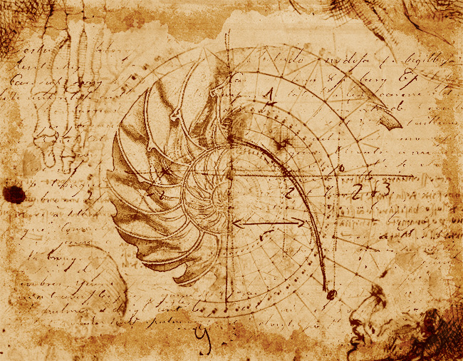 Lost Page Leonardo Da Vinci Codex The Golden Spiral   Da Vinci Sketch Photoshop Tutorial 