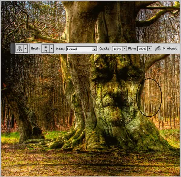 Tree Face Photoshop Tutorial