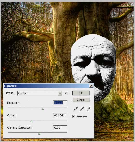 Tree Face Photoshop Tutorial