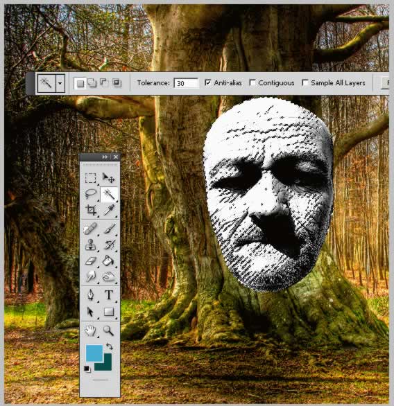 Tree Face Photoshop Tutorial