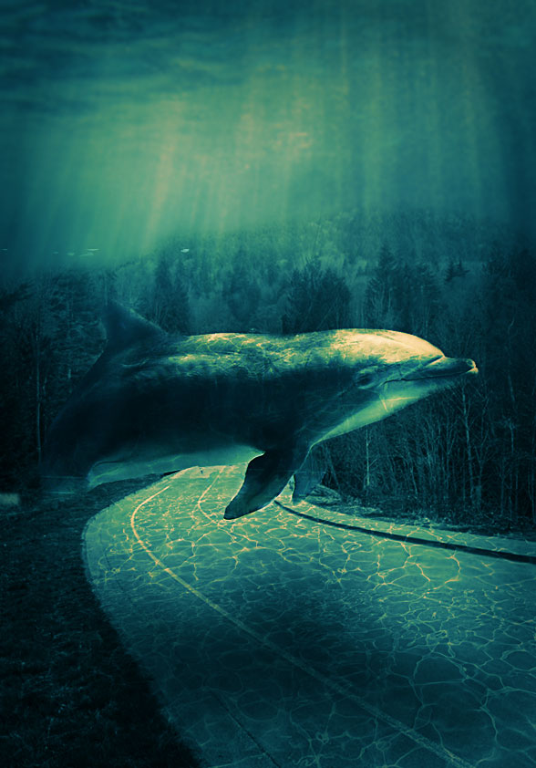 Create A Surreal Underwater Background In Photoshop Photoshop Tutorial Psddude